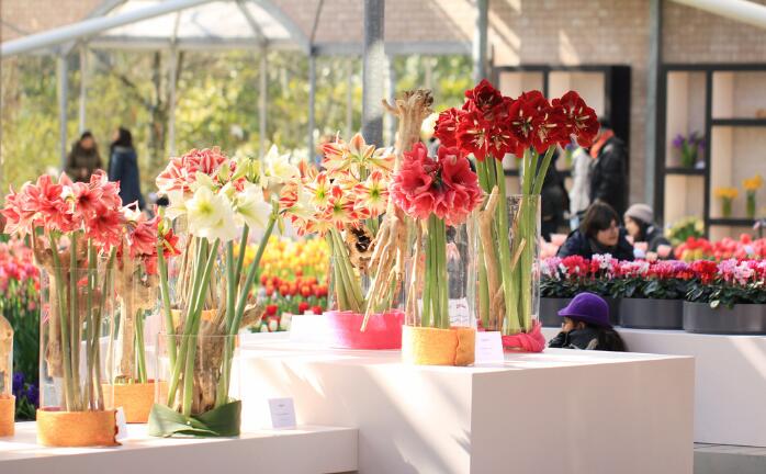 南寧花藝學(xué)校：花店處理花材的7種錯(cuò)誤