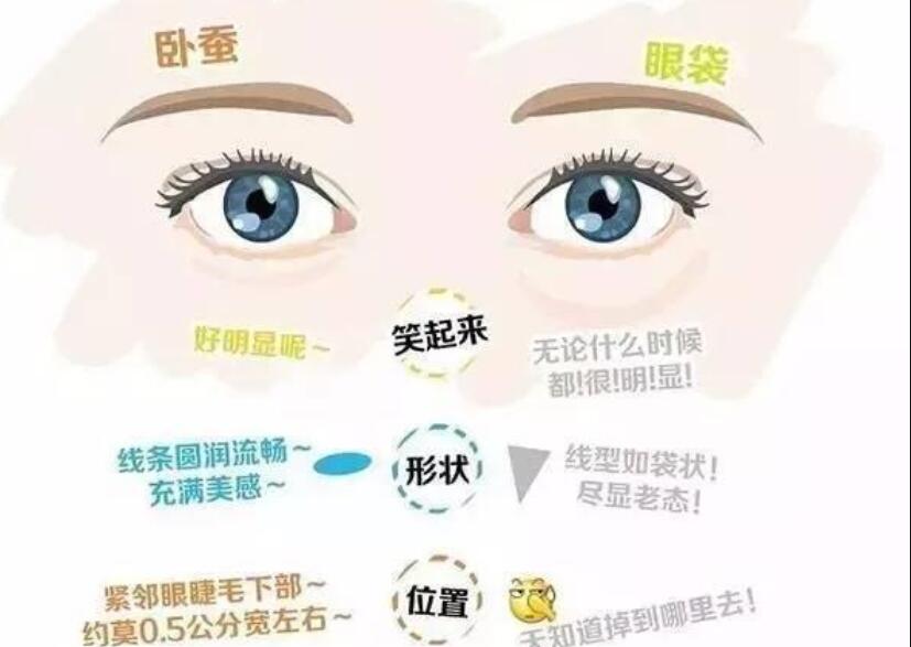 眼袋還是臥蠶，快來(lái)學(xué)辨別的方法