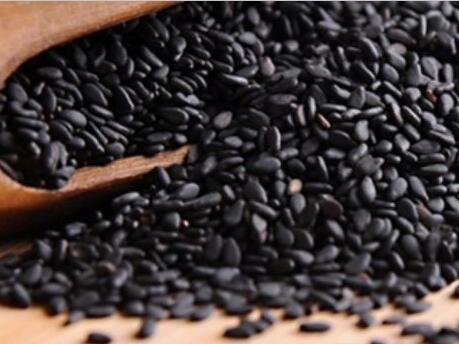 在家也能做的美發(fā)沙龍！