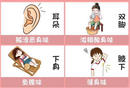 體味重的部位和緩解方法，廣西美容美體專業(yè)介紹