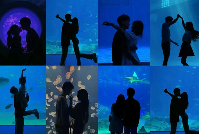 在海洋館怎么拍照？廣西人物形象設(shè)計(jì)專業(yè)支招